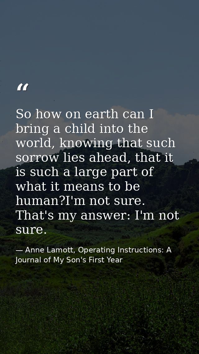 So how on earth can I bring a child into the world, knowing that such sorrow lies ahead, that it is such a large part of — Anne Lamott, Operating Instructions: A Journal of My Son's First Year