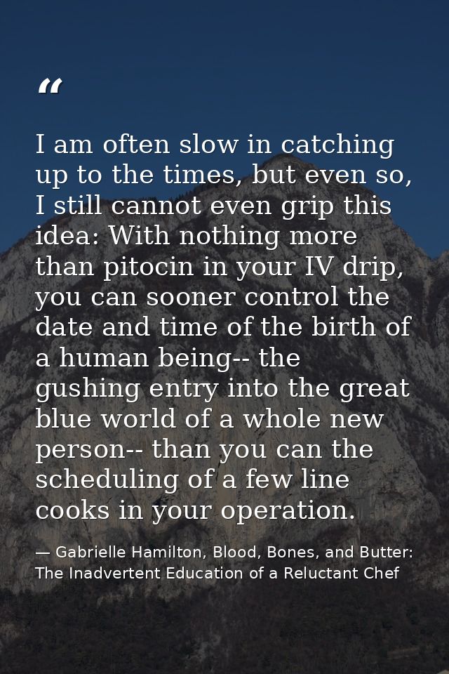 I am often slow in catching up to the times, but even so, I still cannot even grip this idea: With nothing more than pit — Gabrielle Hamilton, Blood, Bones, and Butter: The Inadvertent Education of a Reluctant Chef