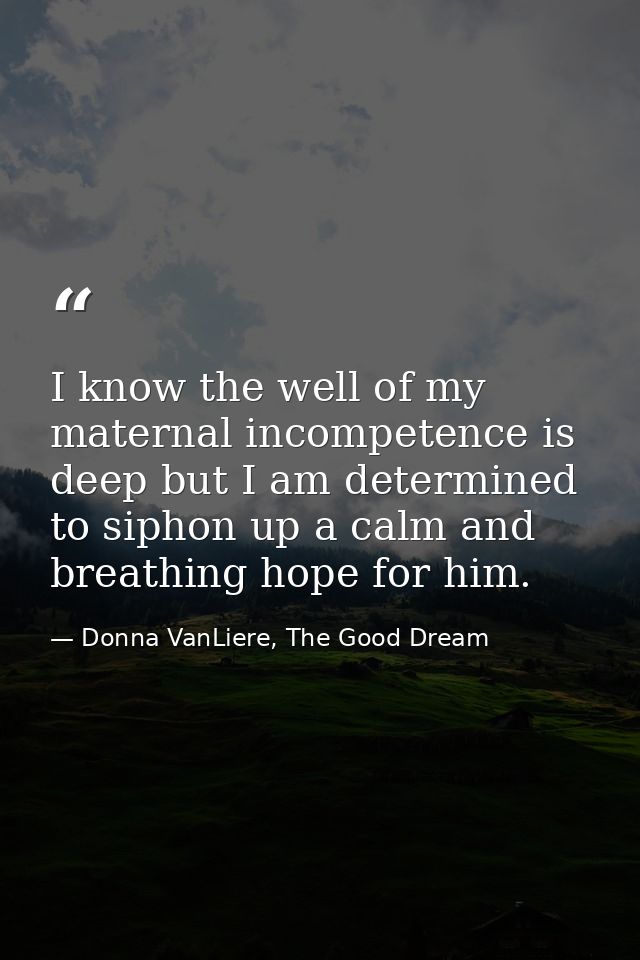 I know the well of my maternal incompetence is deep but I am determined to siphon up a calm and breathing hope for him. — Donna VanLiere, The Good Dream