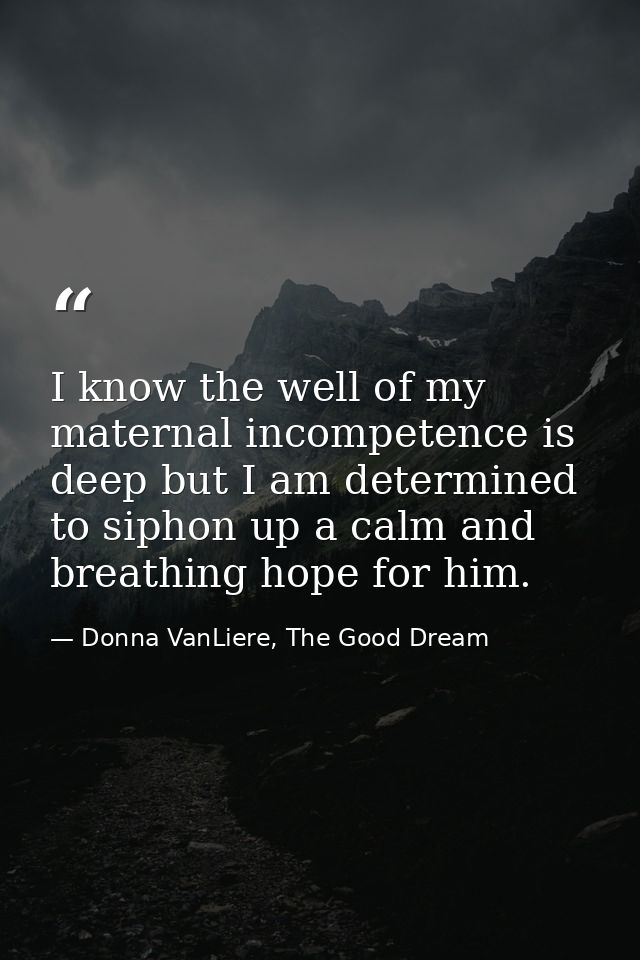 I know the well of my maternal incompetence is deep but I am determined to siphon up a calm and breathing hope for him. — Donna VanLiere, The Good Dream