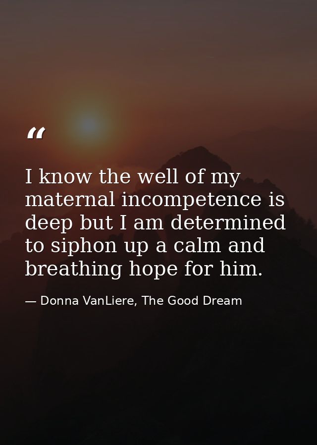 I know the well of my maternal incompetence is deep but I am determined to siphon up a calm and breathing hope for him. — Donna VanLiere, The Good Dream