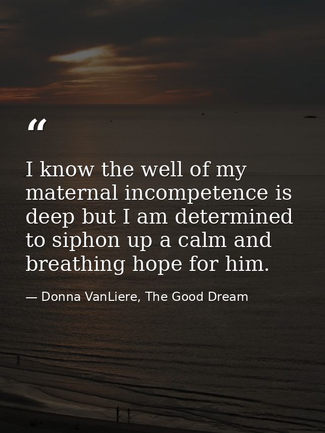 I know the well of my maternal incompetence is deep but I am determined to siphon up a calm and breathing hope for him. — Donna VanLiere, The Good Dream
