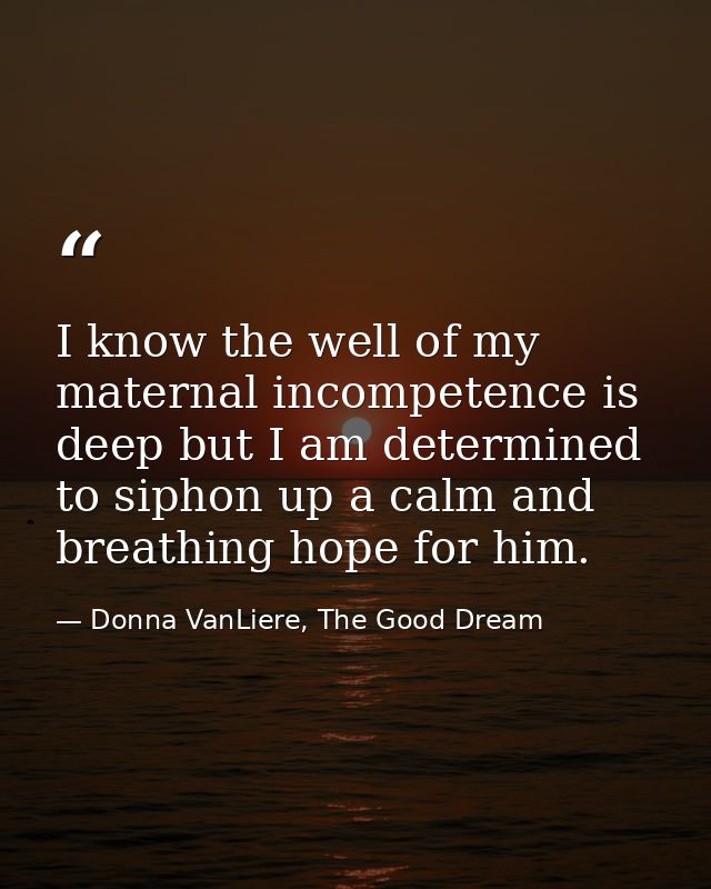 I know the well of my maternal incompetence is deep but I am determined to siphon up a calm and breathing hope for him. — Donna VanLiere, The Good Dream