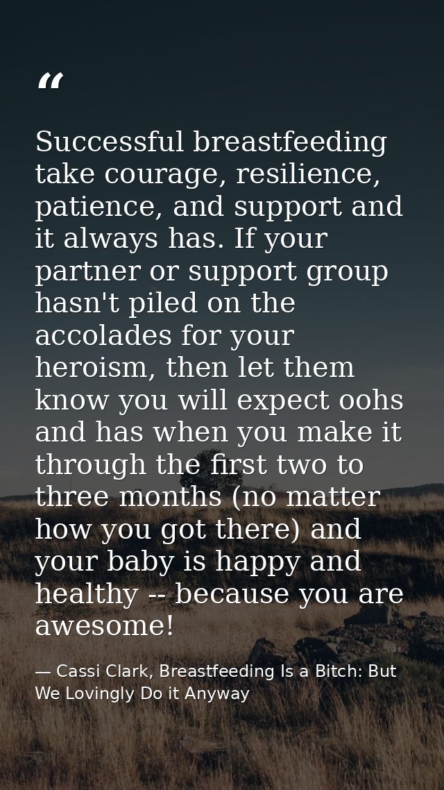 Successful breastfeeding take courage, resilience, patience, and support and it always has. If your partner or support g — Cassi Clark, Breastfeeding Is a Bitch: But We Lovingly Do it Anyway
