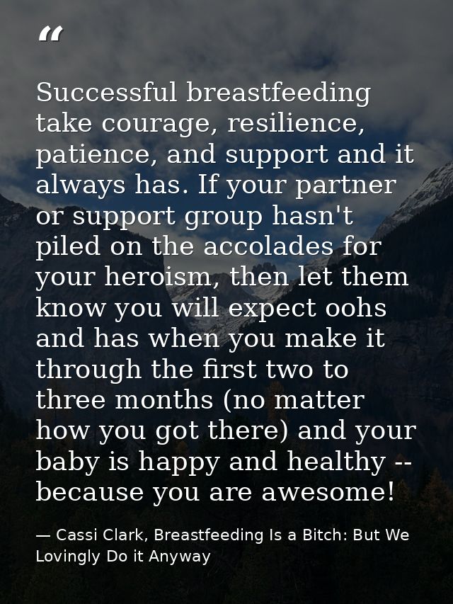 Successful breastfeeding take courage, resilience, patience, and support and it always has. If your partner or support g — Cassi Clark, Breastfeeding Is a Bitch: But We Lovingly Do it Anyway