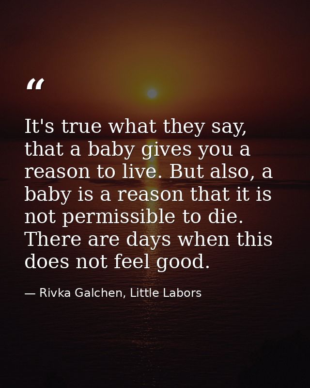 It's true what they say, that a baby gives you a reason to live. But also, a baby is a reason that it is not permissible — Rivka Galchen, Little Labors