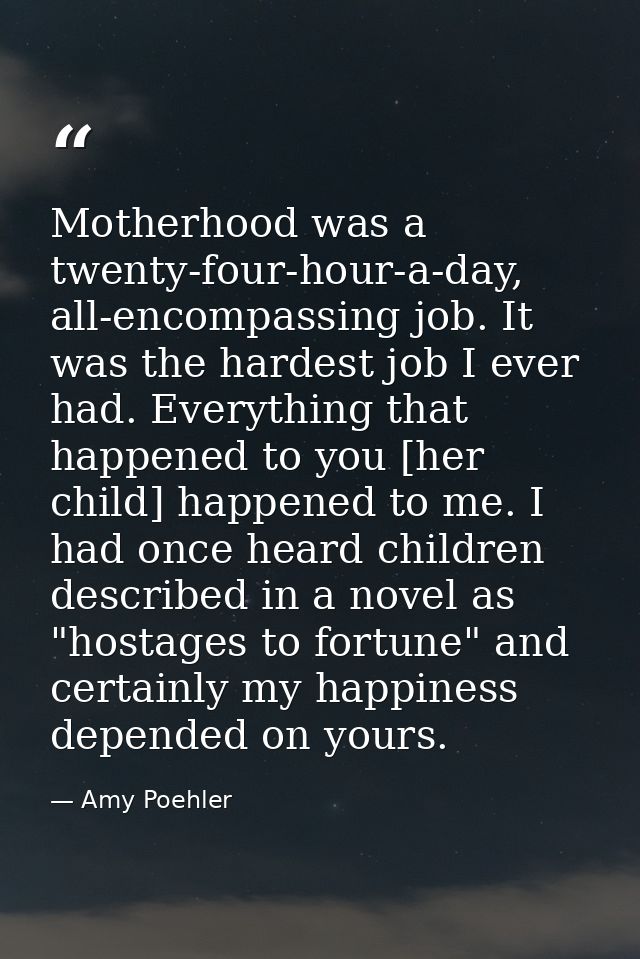 Motherhood was a twenty-four-hour-a-day, all-encompassing job. It was the hardest job I ever had. Everything that happen — Amy Poehler