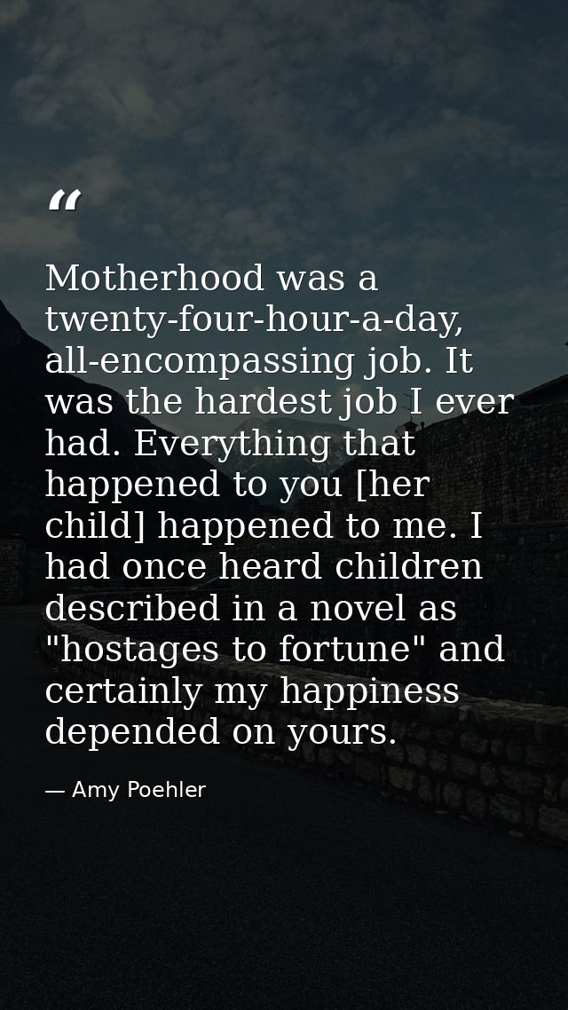 Motherhood was a twenty-four-hour-a-day, all-encompassing job. It was the hardest job I ever had. Everything that happen — Amy Poehler