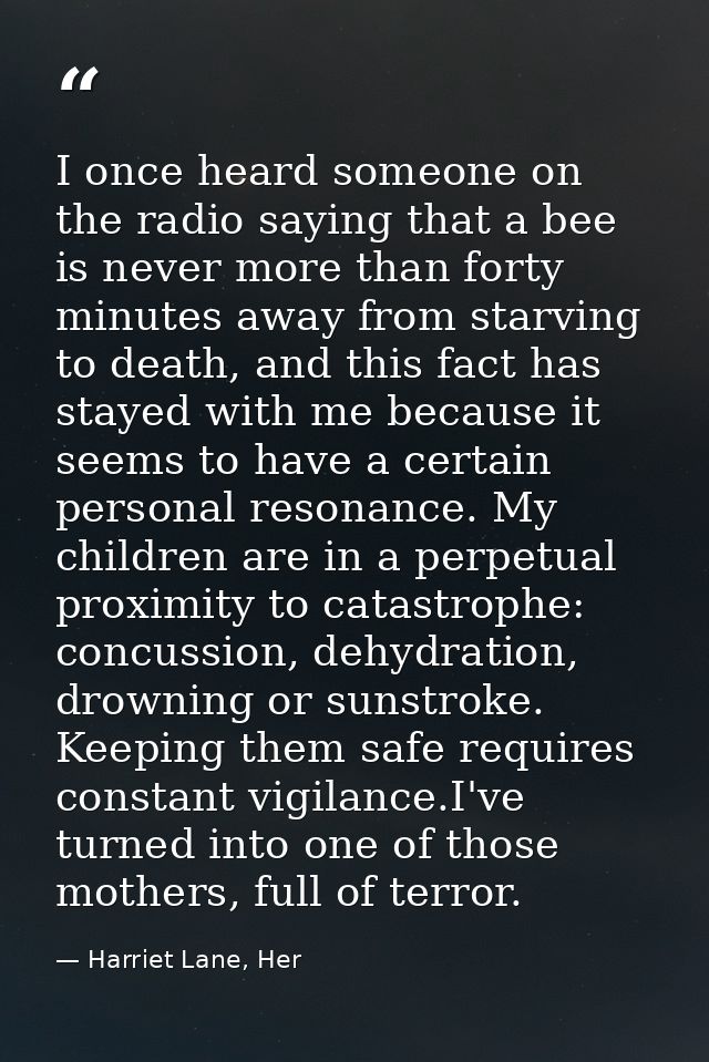 I once heard someone on the radio saying that a bee is never more than forty minutes away from starving to death, and th — Harriet Lane, Her