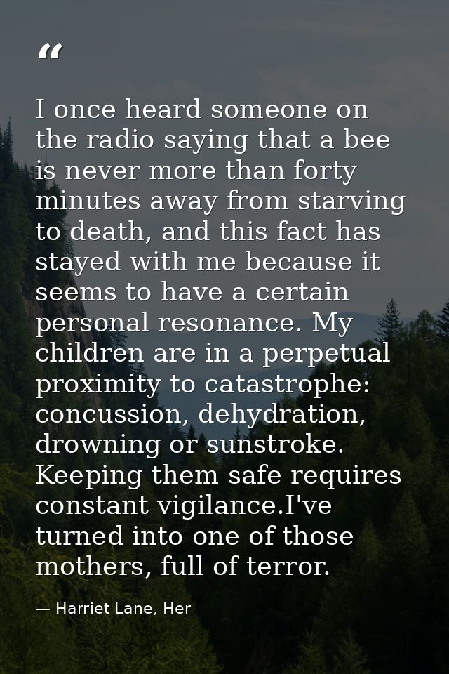 I once heard someone on the radio saying that a bee is never more than forty minutes away from starving to death, and th — Harriet Lane, Her