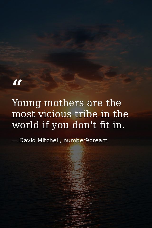Young mothers are the most vicious tribe in the world if you don't fit in. — David Mitchell, number9dream