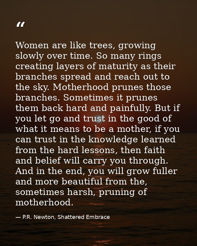 Women are like trees, growing slowly over time. So many rings creating layers of maturity as their branches spread and r — P.R. Newton, Shattered Embrace