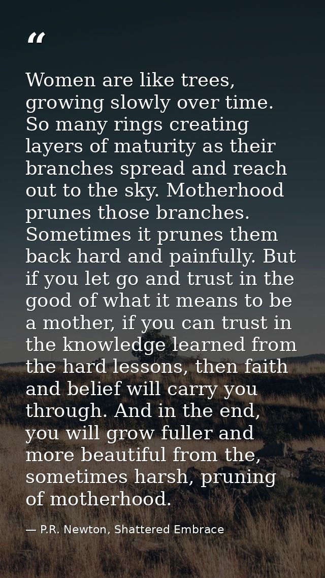 Women are like trees, growing slowly over time. So many rings creating layers of maturity as their branches spread and r — P.R. Newton, Shattered Embrace