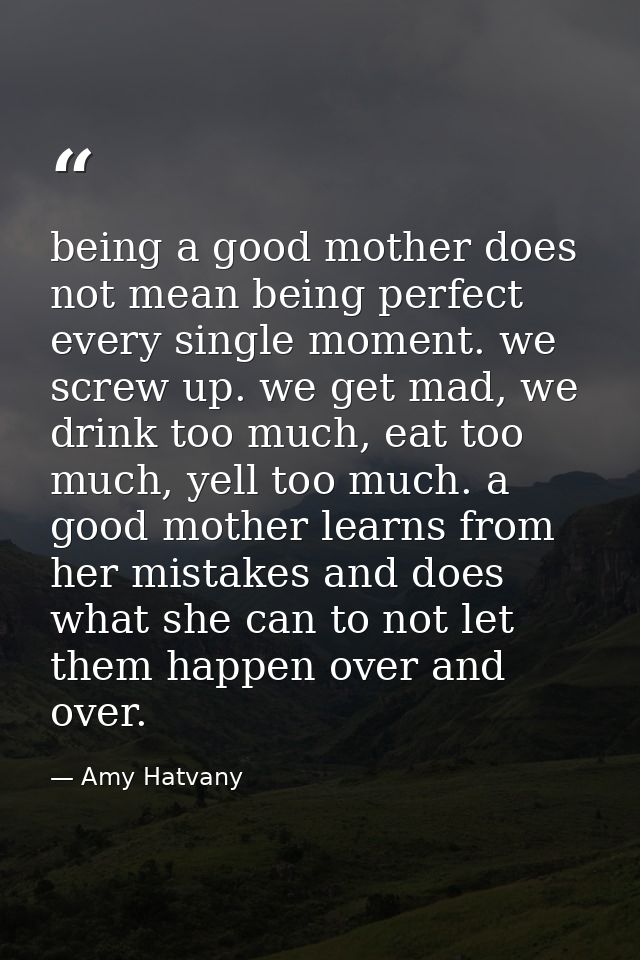 being a good mother does not mean being perfect every single moment. we screw up. we get mad, we drink too much, eat too — Amy Hatvany