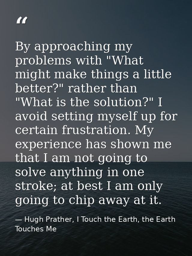 By approaching my problems with "What might make things a little better?" rather than "What is the solution?" I avoid se — Hugh Prather, I Touch the Earth, the Earth Touches Me