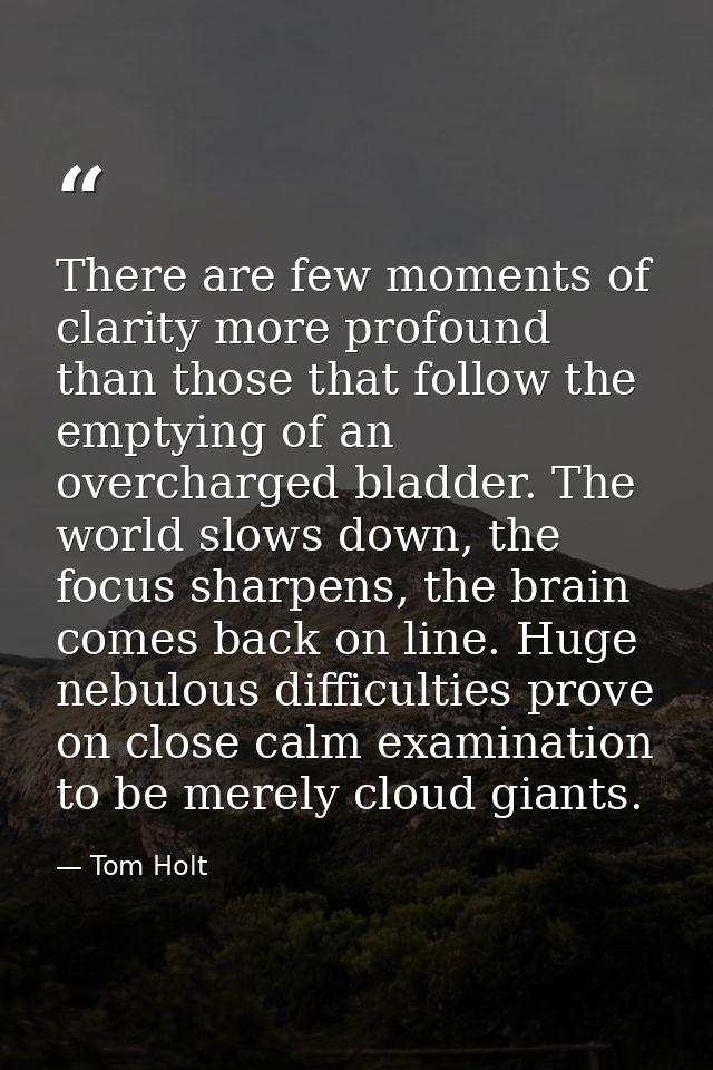 There are few moments of clarity more profound than those that follow the emptying of an overcharged bladder. The world  — Tom Holt