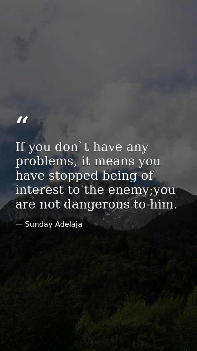 If you don`t have any problems, it means you have stopped being of interest to the enemy;you are not dangerous to him. — Sunday Adelaja