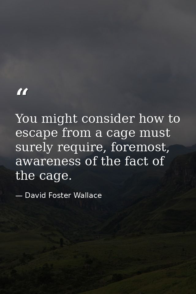 You might consider how to escape from a cage must surely require, foremost, awareness of the fact of the cage. — David Foster Wallace