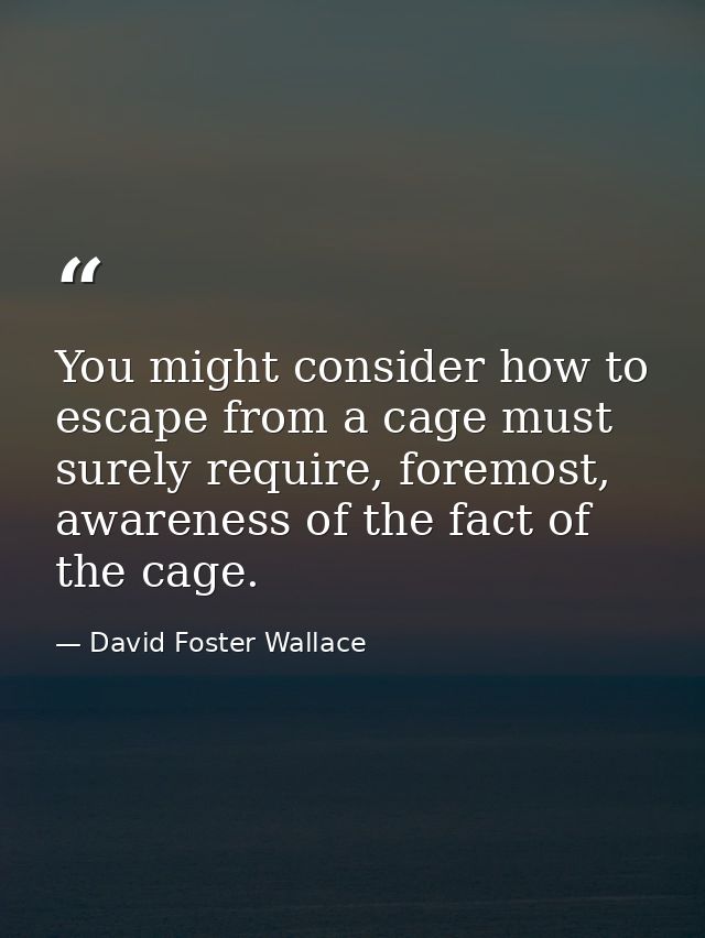You might consider how to escape from a cage must surely require, foremost, awareness of the fact of the cage. — David Foster Wallace