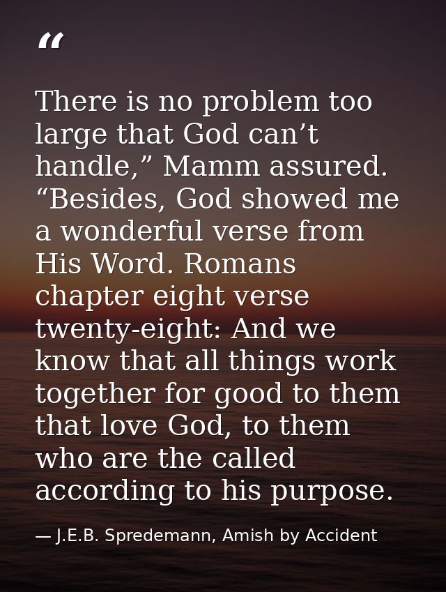 There is no problem too large that God can’t handle,” Mamm assured. “Besides, God showed me a wonderful verse from His W — J.E.B. Spredemann, Amish by Accident