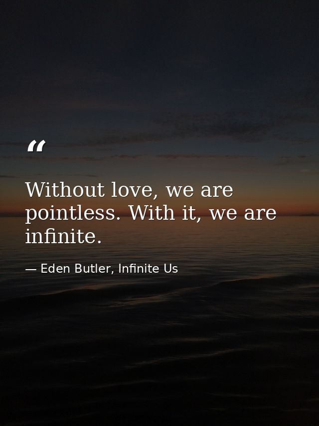 Without love, we are pointless. With it, we are infinite. — Eden Butler, Infinite Us