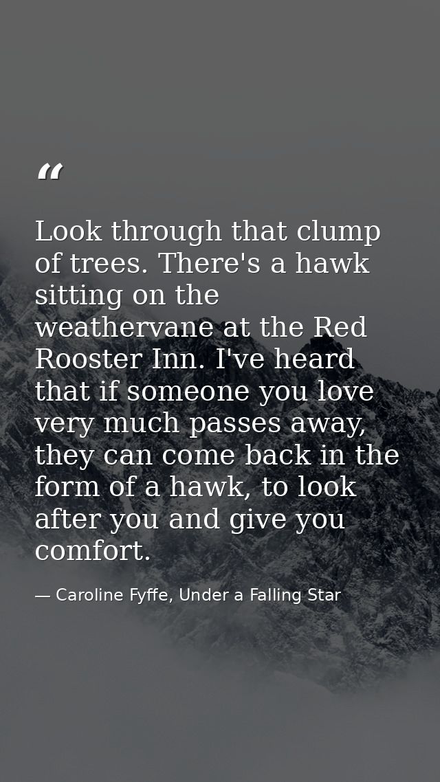 Look through that clump of trees. There's a hawk sitting on the weathervane at the Red Rooster Inn. I've heard that if s — Caroline Fyffe, Under a Falling Star