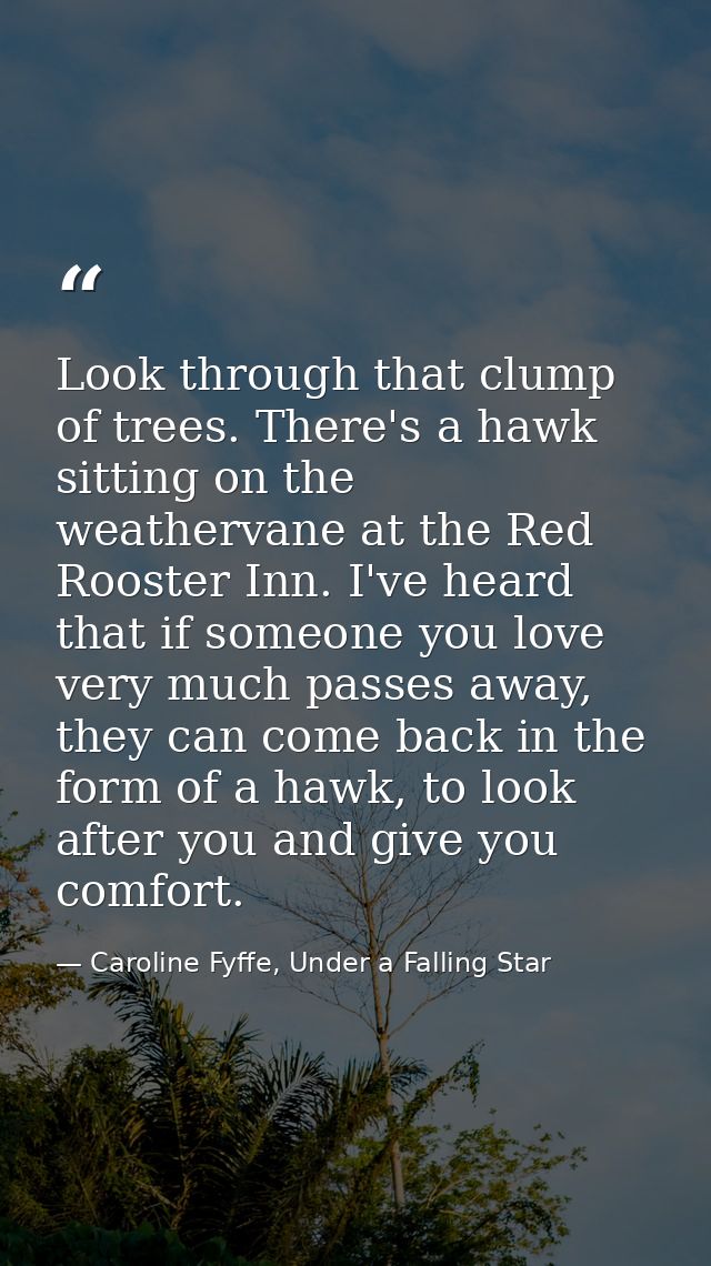 Look through that clump of trees. There's a hawk sitting on the weathervane at the Red Rooster Inn. I've heard that if s — Caroline Fyffe, Under a Falling Star