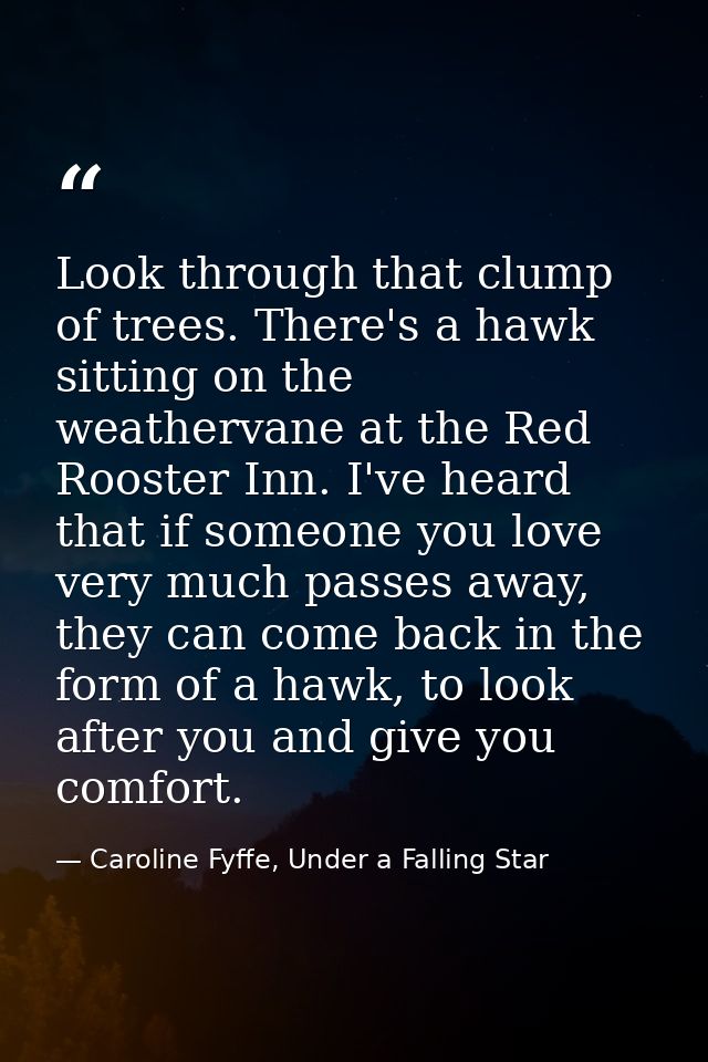 Look through that clump of trees. There's a hawk sitting on the weathervane at the Red Rooster Inn. I've heard that if s — Caroline Fyffe, Under a Falling Star