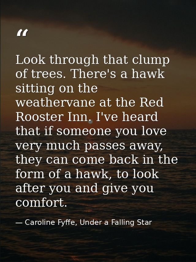 Look through that clump of trees. There's a hawk sitting on the weathervane at the Red Rooster Inn. I've heard that if s — Caroline Fyffe, Under a Falling Star