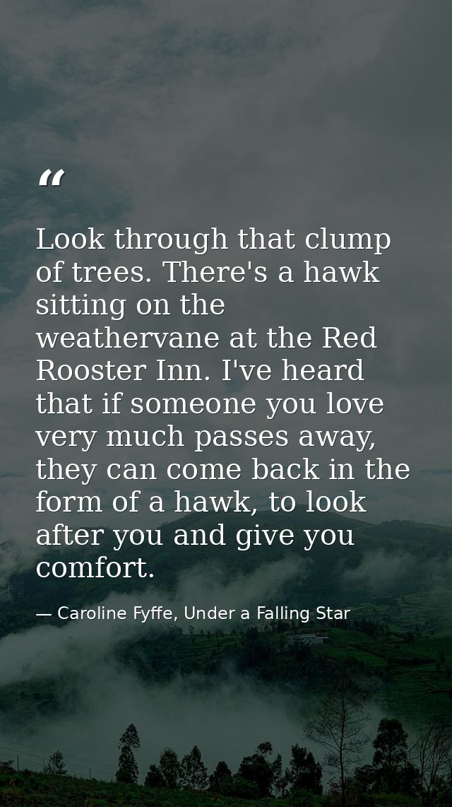 Look through that clump of trees. There's a hawk sitting on the weathervane at the Red Rooster Inn. I've heard that if s — Caroline Fyffe, Under a Falling Star