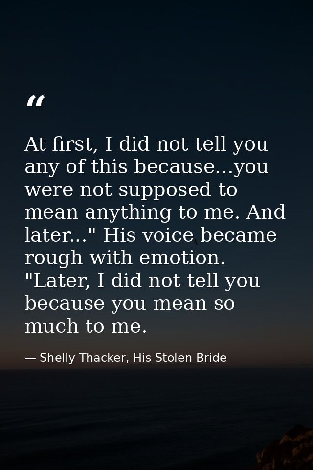 At first, I did not tell you any of this because...you were not supposed to mean anything to me. And later..." His voice — Shelly Thacker, His Stolen Bride