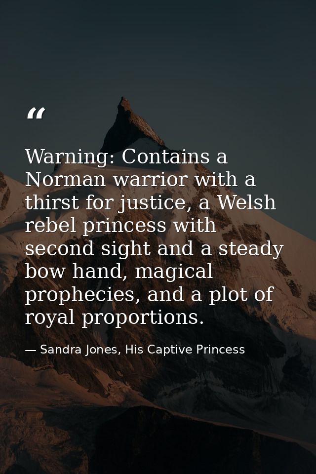Warning: Contains a Norman warrior with a thirst for justice, a Welsh rebel princess with second sight and a steady bow  — Sandra Jones, His Captive Princess