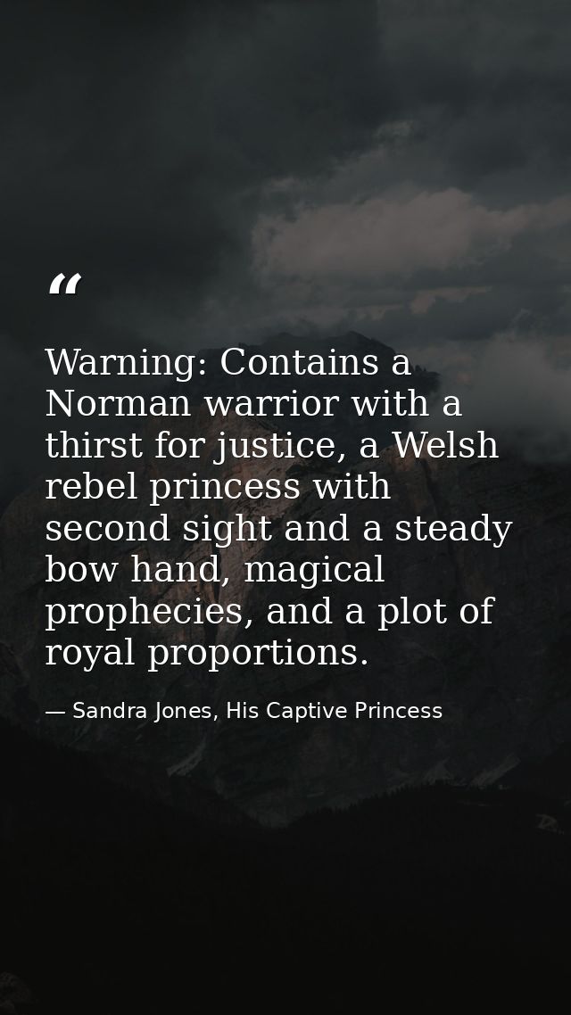 Warning: Contains a Norman warrior with a thirst for justice, a Welsh rebel princess with second sight and a steady bow  — Sandra Jones, His Captive Princess