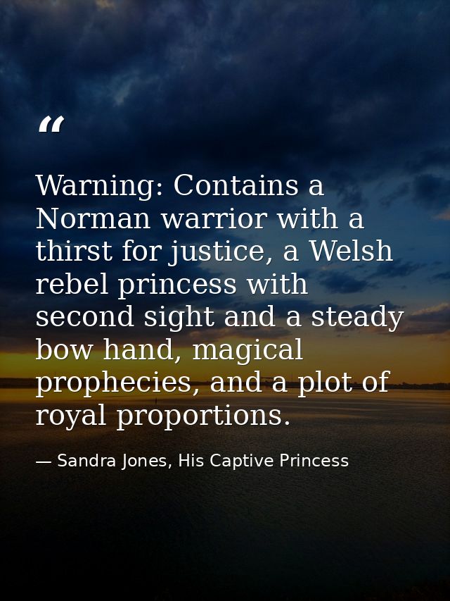Warning: Contains a Norman warrior with a thirst for justice, a Welsh rebel princess with second sight and a steady bow  — Sandra Jones, His Captive Princess