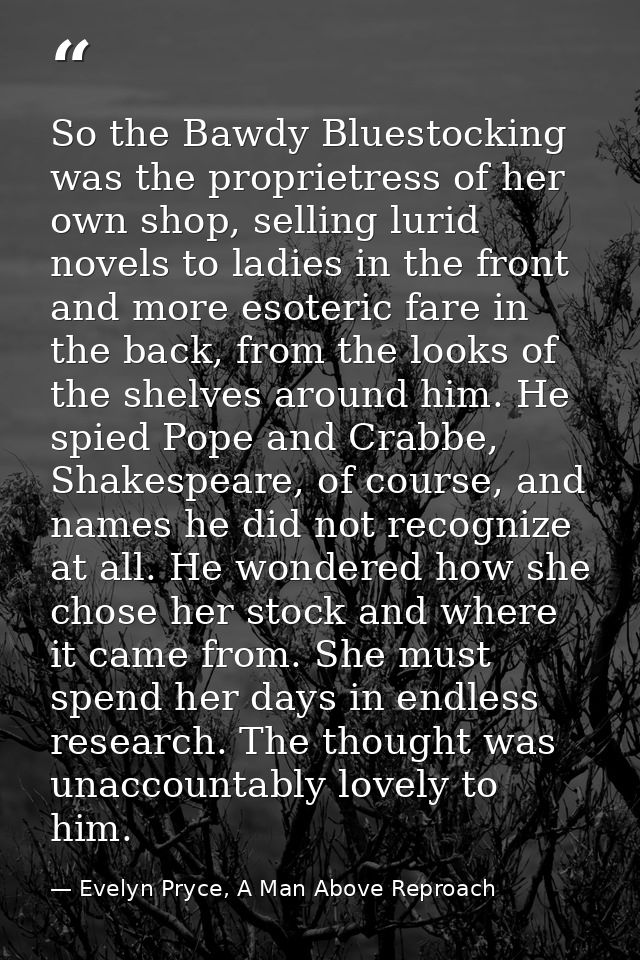 So the Bawdy Bluestocking was the proprietress of her own shop, selling lurid novels to ladies in the front and more eso — Evelyn Pryce, A Man Above Reproach