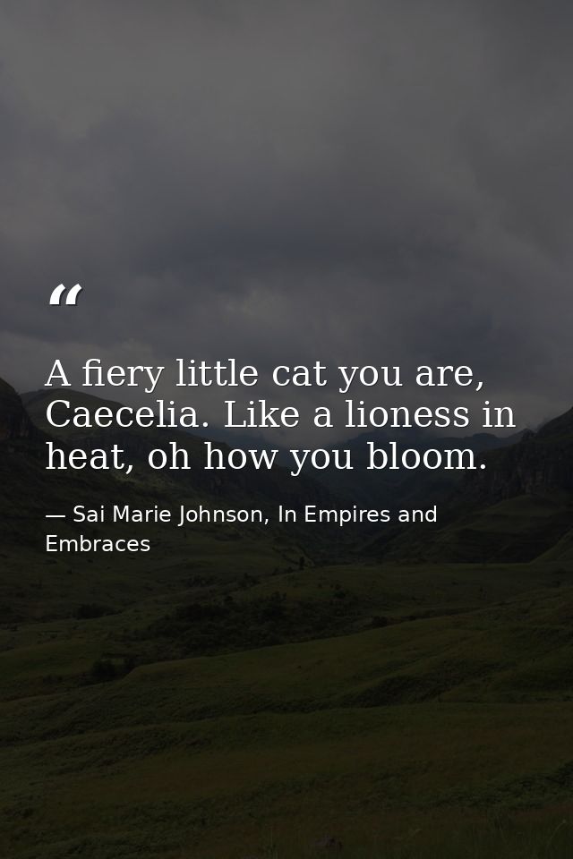 A fiery little cat you are, Caecelia. Like a lioness in heat, oh how you bloom. — Sai Marie Johnson, In Empires and Embraces