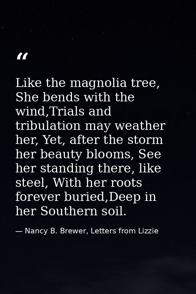 Like the magnolia tree, She bends with the wind,Trials and tribulation may weather her, Yet, after the storm her beauty  — Nancy B. Brewer, Letters from Lizzie
