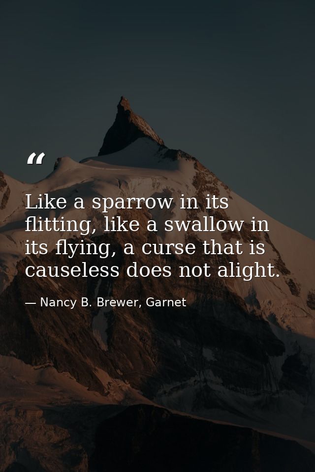 Like a sparrow in its flitting, like a swallow in its flying, a curse that is causeless does not alight. — Nancy B. Brewer, Garnet