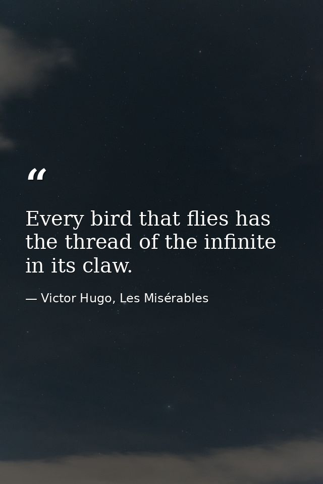 Every bird that flies has the thread of the infinite in its claw. — Victor Hugo, Les Misérables