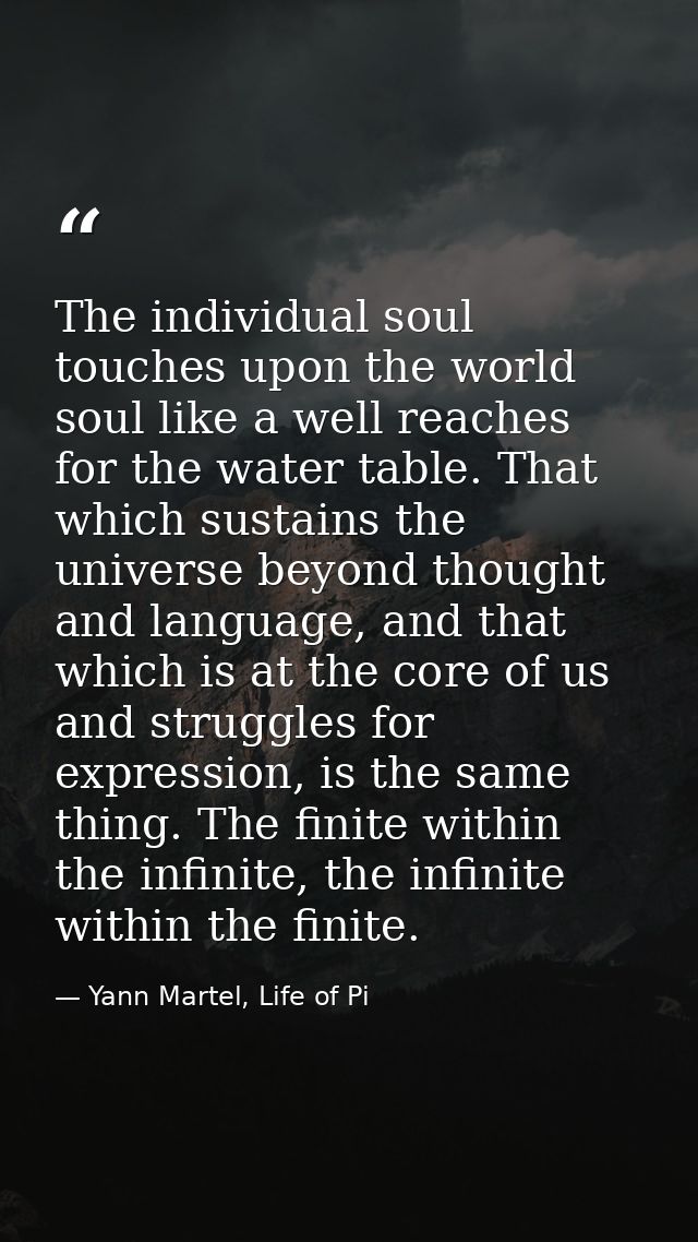 The individual soul touches upon the world soul like a well reaches for the water table. That which sustains the univers — Yann Martel, Life of Pi