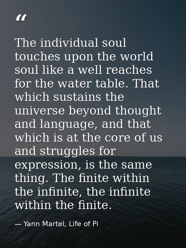 The individual soul touches upon the world soul like a well reaches for the water table. That which sustains the univers — Yann Martel, Life of Pi