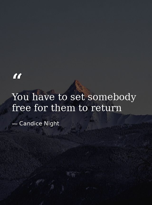 You have to set somebody free for them to return — Candice Night