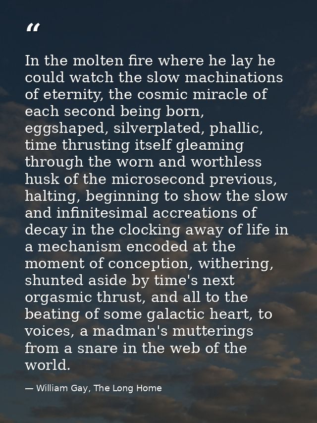 In the molten fire where he lay he could watch the slow machinations of eternity, the cosmic miracle of each second bein — William Gay, The Long Home
