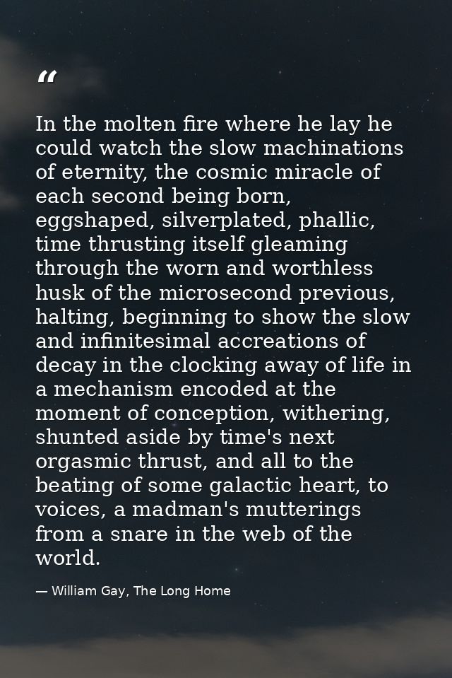 In the molten fire where he lay he could watch the slow machinations of eternity, the cosmic miracle of each second bein — William Gay, The Long Home