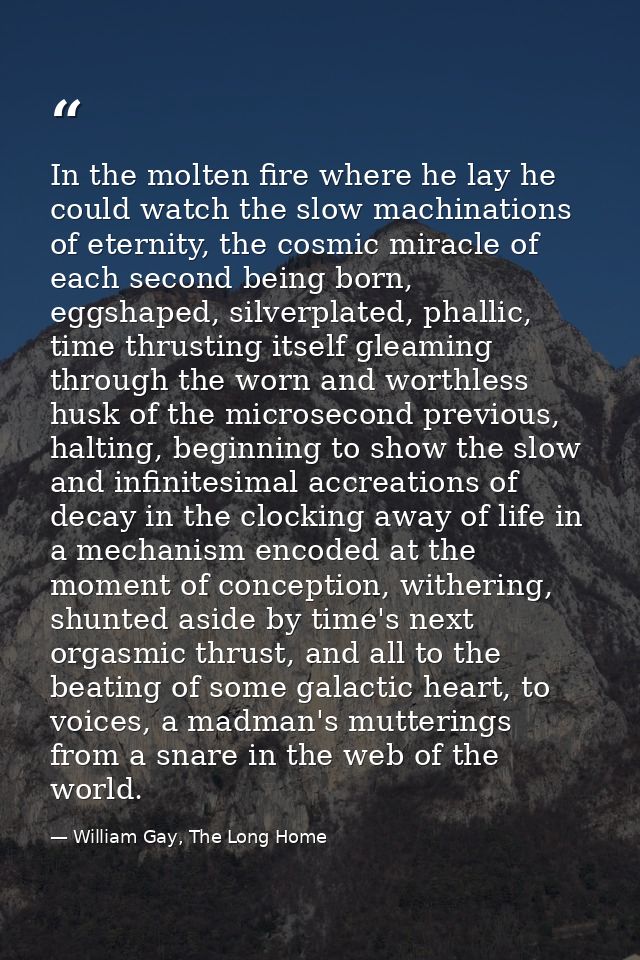 In the molten fire where he lay he could watch the slow machinations of eternity, the cosmic miracle of each second bein — William Gay, The Long Home