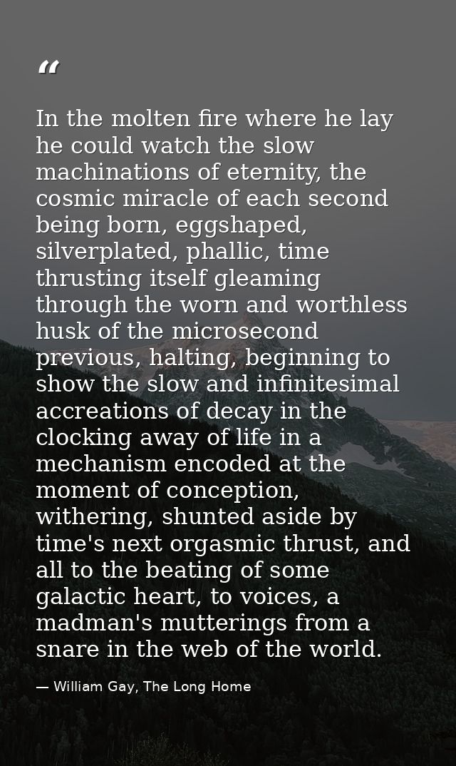In the molten fire where he lay he could watch the slow machinations of eternity, the cosmic miracle of each second bein — William Gay, The Long Home