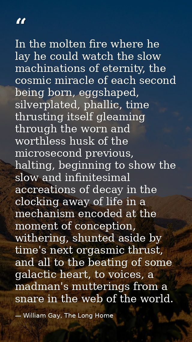 In the molten fire where he lay he could watch the slow machinations of eternity, the cosmic miracle of each second bein — William Gay, The Long Home