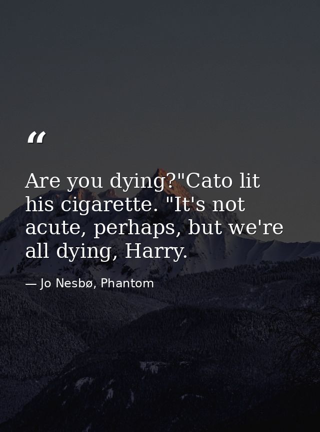 Are you dying?"Cato lit his cigarette. "It's not acute, perhaps, but we're all dying, Harry. — Jo Nesbø, Phantom