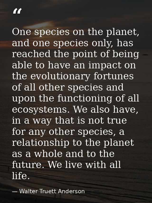 One species on the planet, and one species only, has reached the point of being able to have an impact on the evolutiona — Walter Truett Anderson
