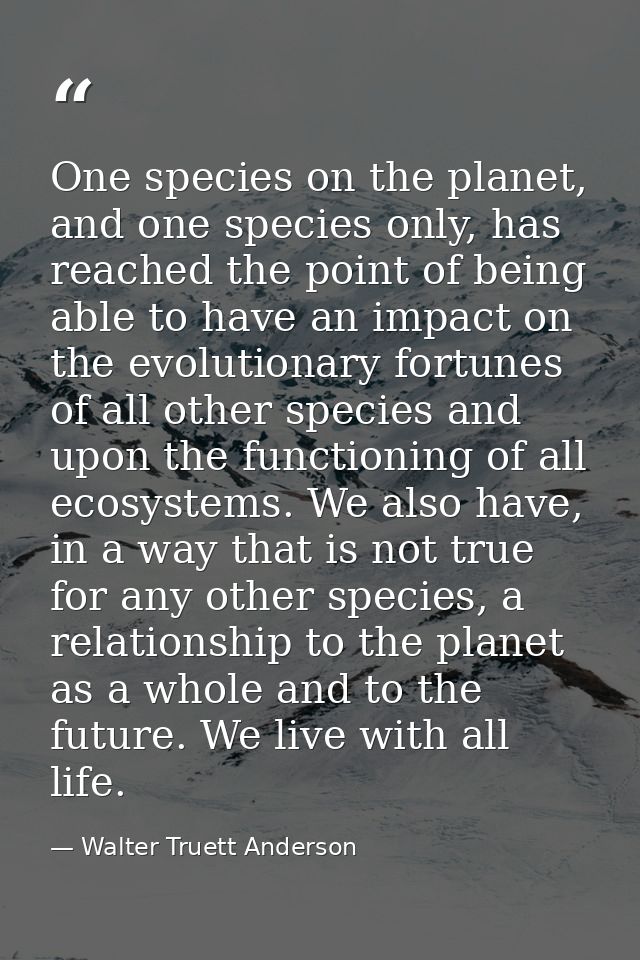 One species on the planet, and one species only, has reached the point of being able to have an impact on the evolutiona — Walter Truett Anderson